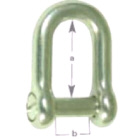 Shackle Dee Csk Pin G316 Stainless Steel 10mm (161042)