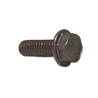 Stainless Steel Screw - Sierra (S18-1281)